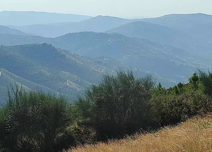 Apartmán Centro Real *